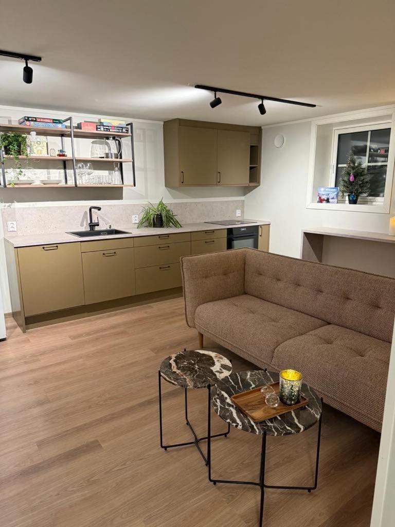 Apartment In Down Town Aurora