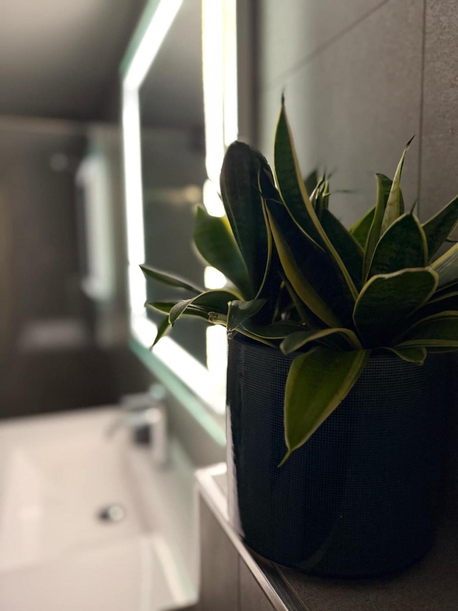 Apartment In Down Town Aurora